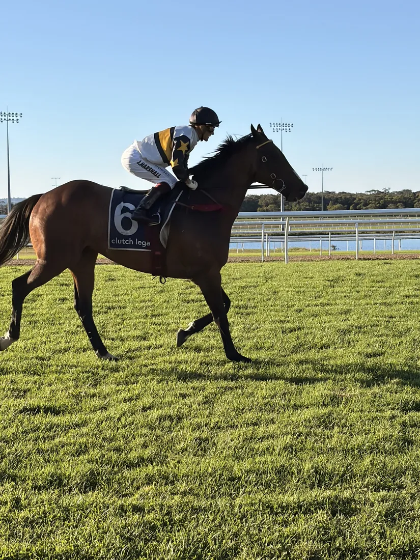 A horse racing at Sunshine Coast Turf Club